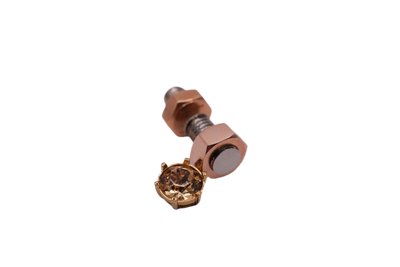 Burberry Nut and Bolt Earrings