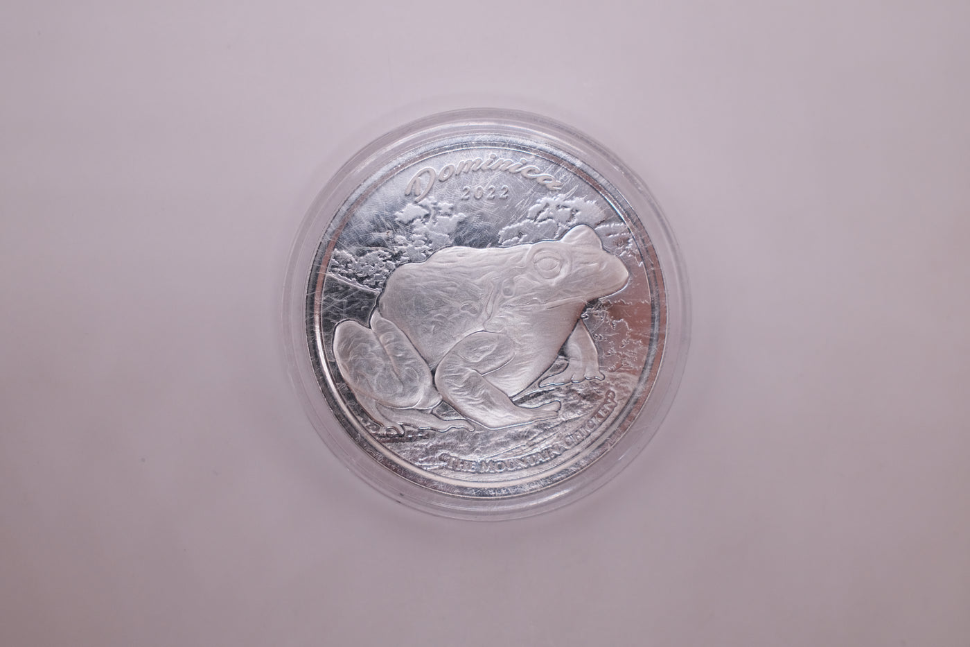 SILVER COIN
