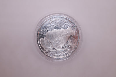 SILVER COIN